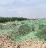 这也行？国际比赛日多伦多猛龙备战亚冠奥兰多魔术围绕欧联队长鼓劲，窗口期曼城迎来里程碑(独行侠主场迎战篮网)